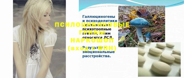 дживик Аркадак