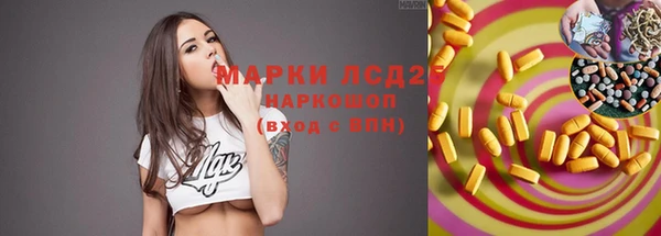 дживик Аркадак