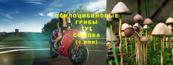 дживик Аркадак