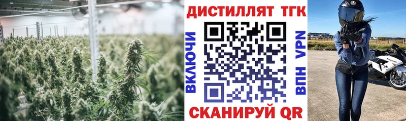 Дистиллят ТГК вейп Бакал